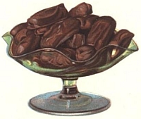 chocolate nougatine