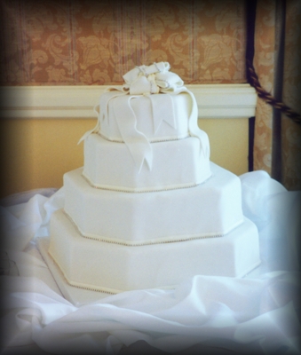 Rhinestone Cake by Renee Shelton